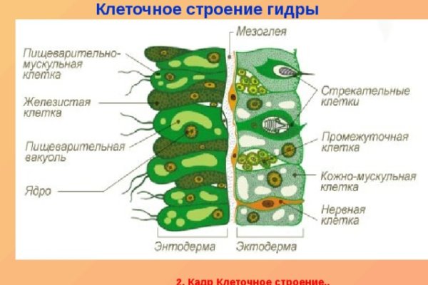 Кракен 16 вход