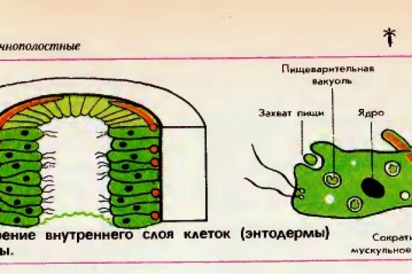 Кракен сс