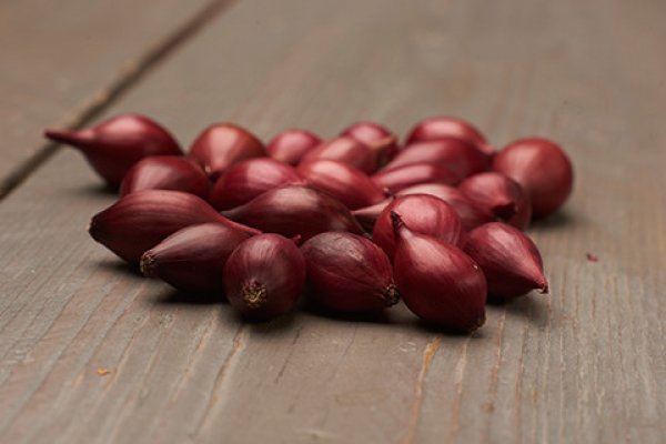 Kraken onion зеркало